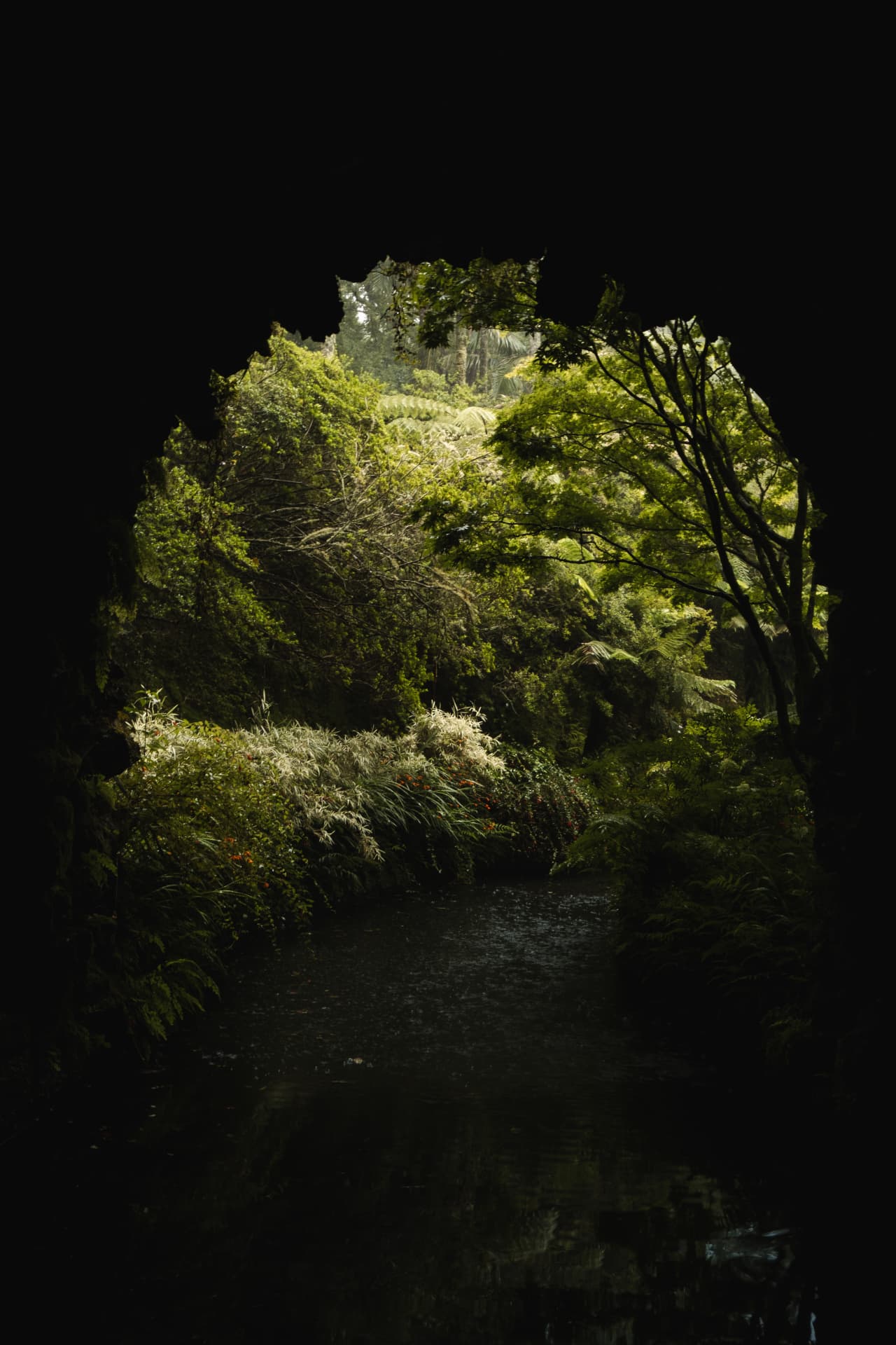 Dark tunnel opening onto a lush green river