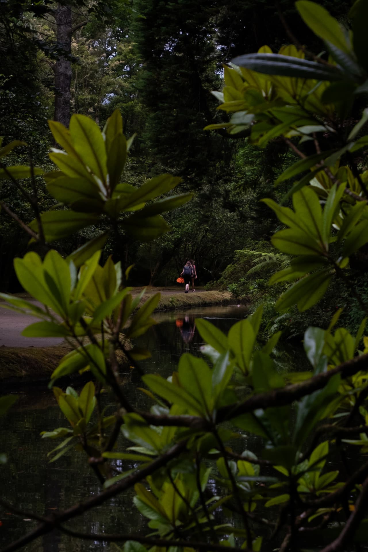 Hiker reflected in a still pond surrounded by foliage