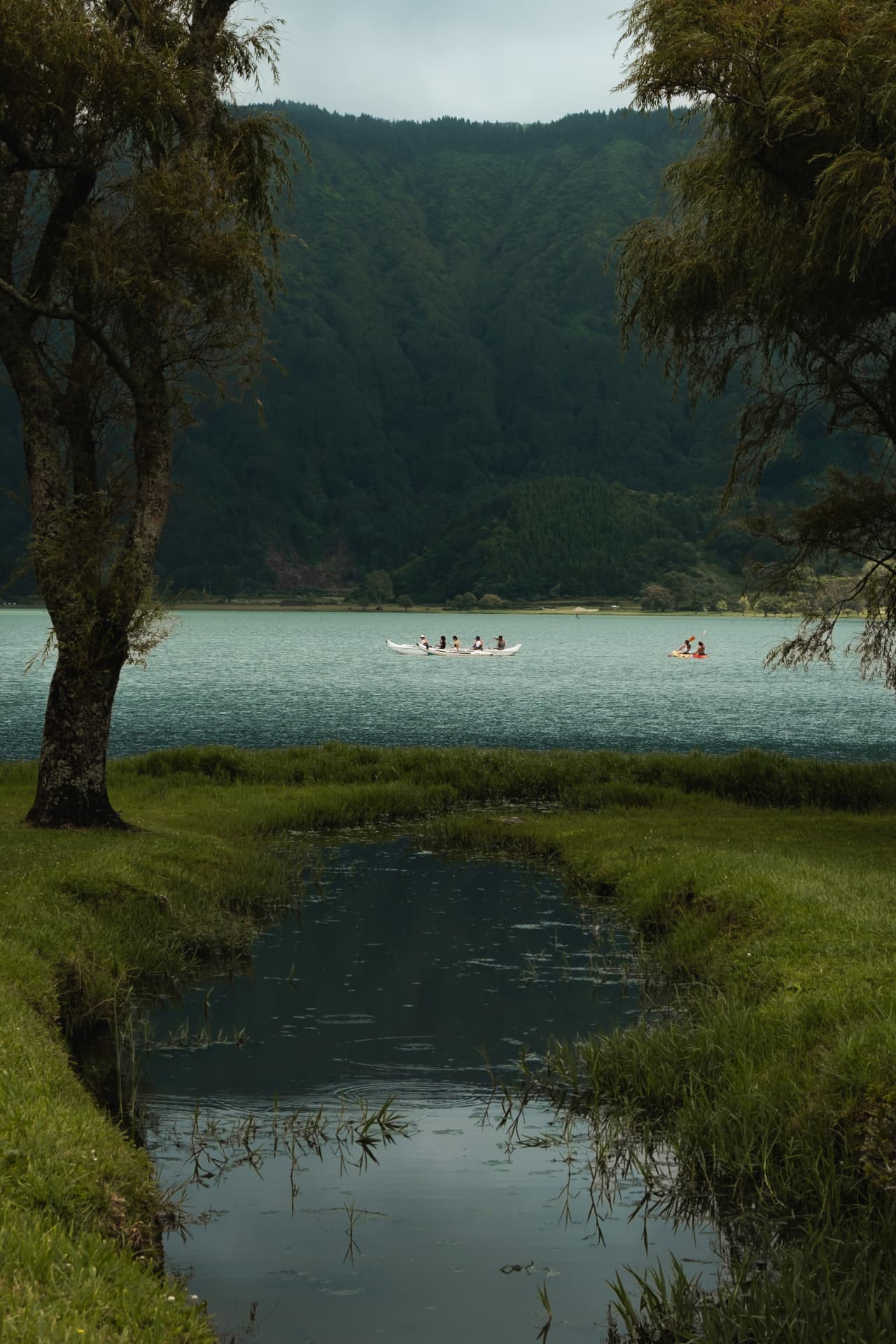 Canoeists on a still lake framed by trees