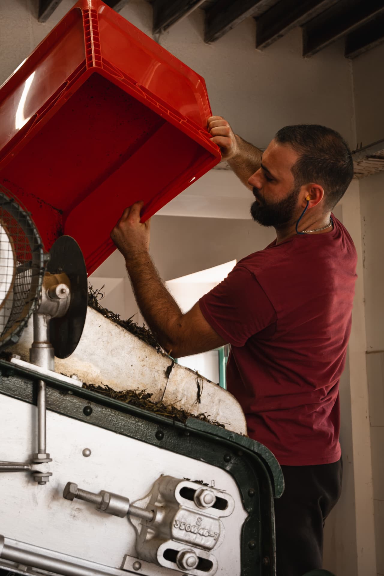 Worker tipping tea leaves into a drying machine