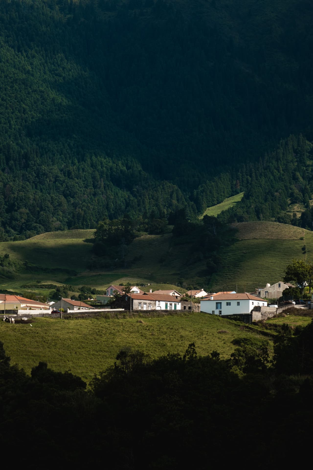 Village houses nestled in green hills