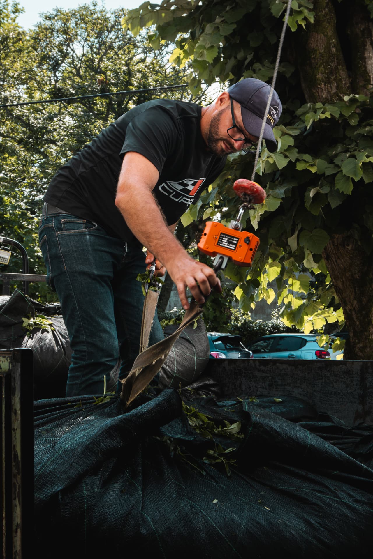 Man operating a lifting hook among vines
