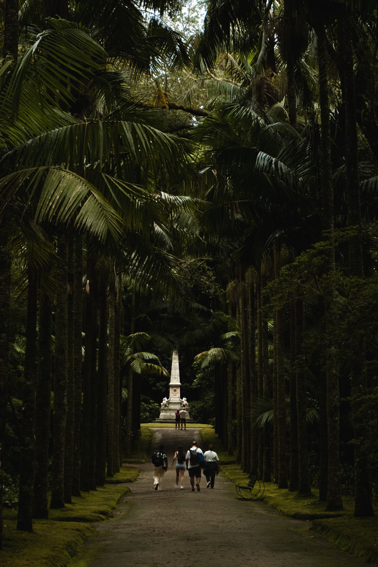 Palm-tree avenue leading to a stone monument