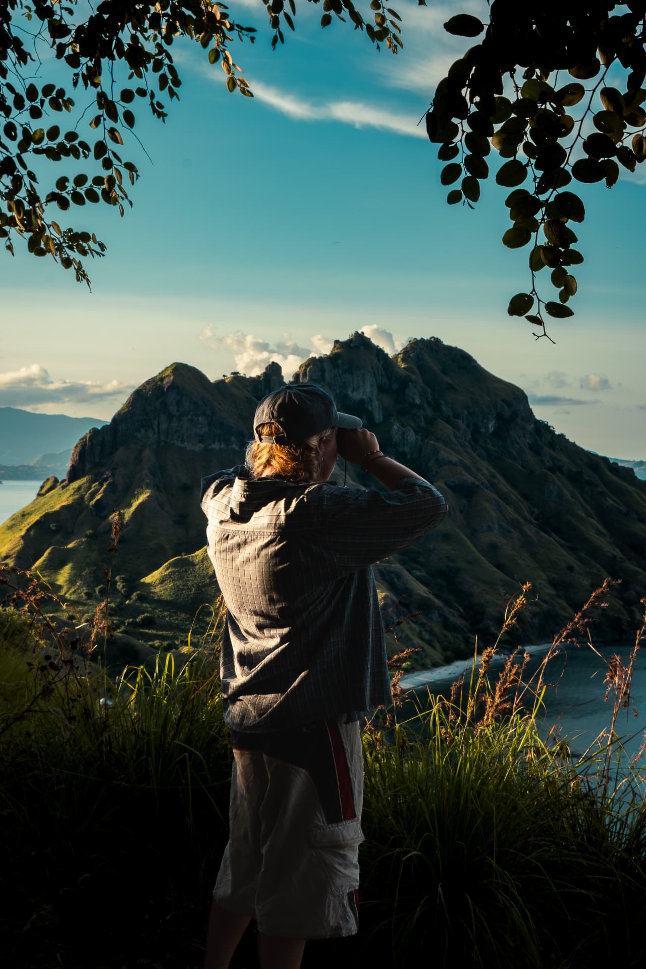 Photographer framed by leaves overlooking green coastal hills