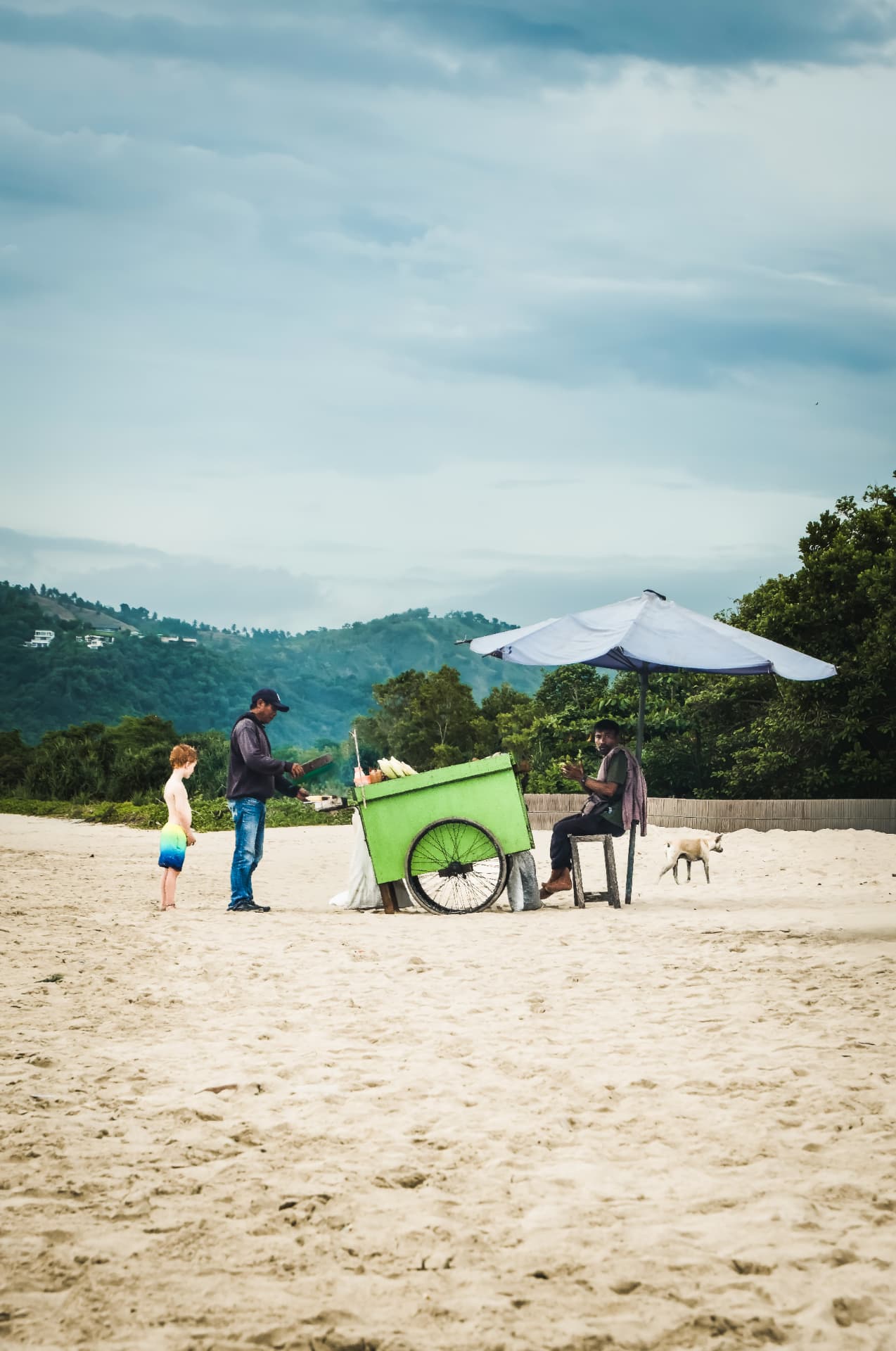 Beach vendor cart with a child and dog on pale sand under cloudy skies